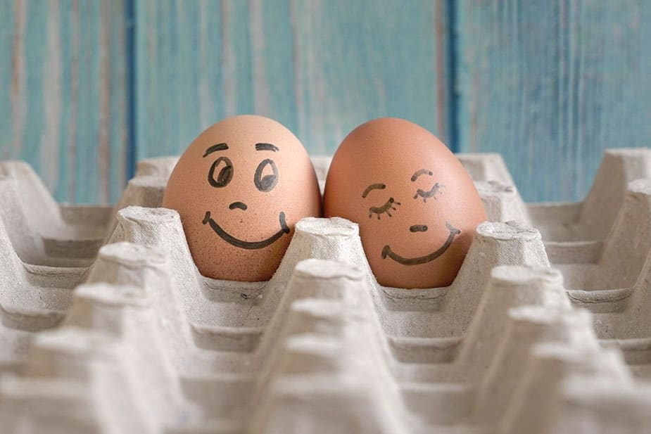 Dva smeđa jajeta s nacrtanim nasmejanim licima u kartonskom pakovanju