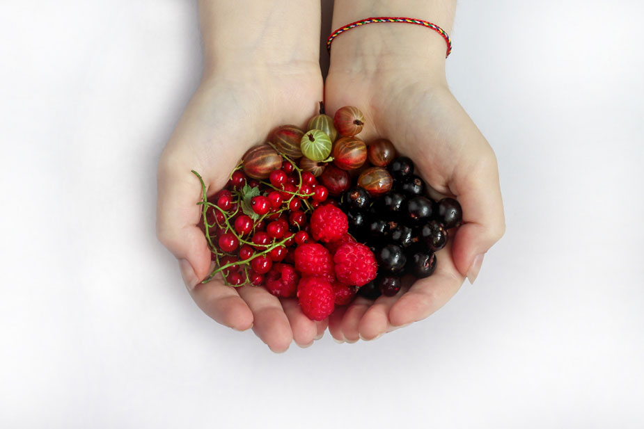 Bobičasto voće u šaci