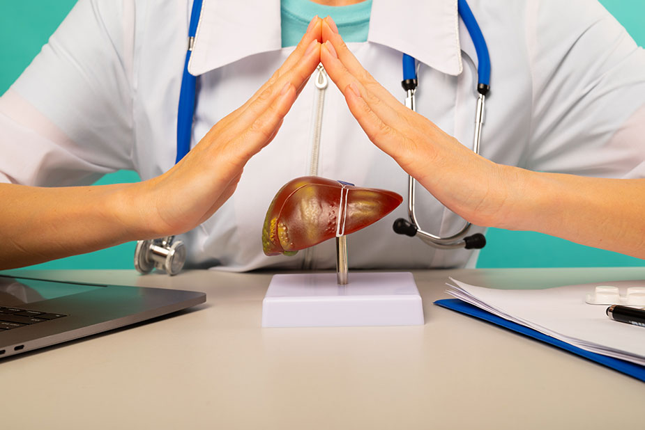 Lekar drži sklopljene ruke iznad modela jetre kao znak zaštite protiv hepatitisa.