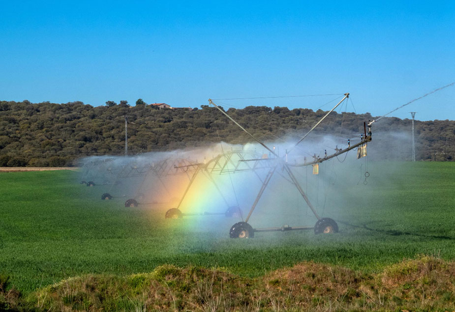 Sistem za navodnjavanje useva na polju kao primer velike potrošnje vode u poljoprivredi